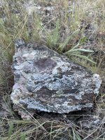 IMG_5759.jpeg