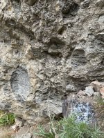 IMG_5727.jpeg