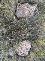IMG_5757.jpeg