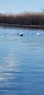 20260406_101020.jpg