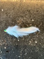 IMG_8011.jpeg