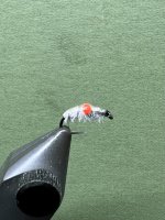 IMG_8013.jpeg