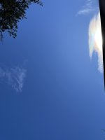 IMG_5786.jpeg