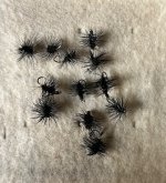 IMG_3516.jpeg IMG_3516.jpeg
