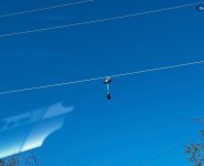 IMG_0855.jpeg