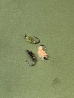 IMG_8027.jpeg IMG_8027.jpeg