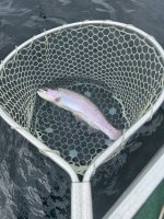 IMG_1477.jpeg