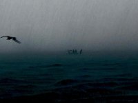 IMG_5573.jpeg