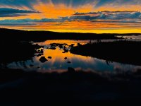 IMG_4948.jpeg