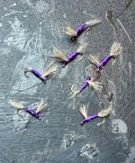 IMG_3589.jpeg