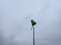 IMG_6414.jpeg