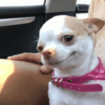funny.gif funny.gif