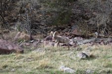 DSC_0145.jpeg