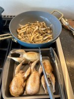 IMG_8035.jpeg