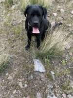 IMG_5721.jpeg