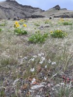 IMG_5719.jpeg