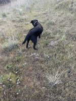 IMG_5755.jpeg