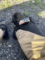 IMG_5767.jpeg