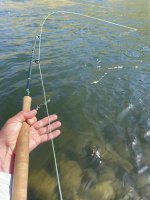 IMG_5748.jpeg