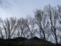 IMG_5728.jpeg