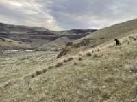IMG_5686.jpeg