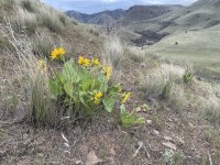 IMG_5690.jpeg