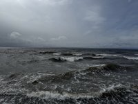 IMG_1663.jpeg IMG_1663.jpeg