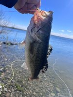 IMG_7316.jpeg