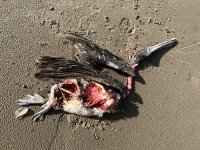 IMG_6330.jpeg