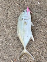 IMG_9483.jpeg