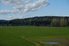 DSCF0459.JPG