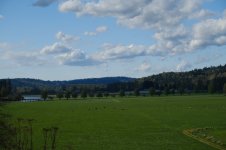 DSCF0461.JPG