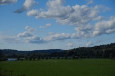 DSCF0462.JPG