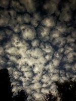 IMG_6246.jpeg