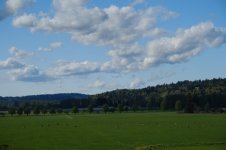 DSCF0463.JPG