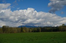 DSCF0446.JPG