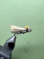 IMG_8050.jpeg