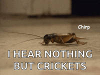1776440853676.gif