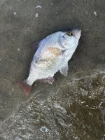 IMG_6447.jpeg IMG_6447.jpeg