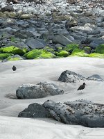 IMG_6459.jpeg
