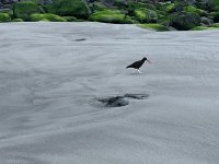 IMG_6460.jpeg