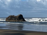 IMG_6356.jpeg