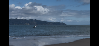 IMG_6467.png