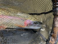 IMG_7271.jpeg