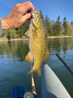 IMG_3129.jpeg