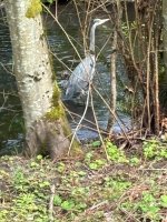 IMG_0105.jpeg