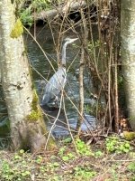 IMG_0106.jpeg