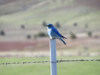 IMG_5214.JPG