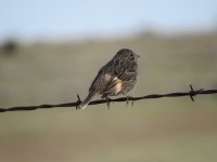 IMG_5228.JPG