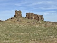 IMG_7284.jpeg